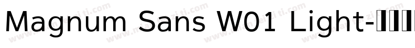 Magnum Sans W01 Light字体转换